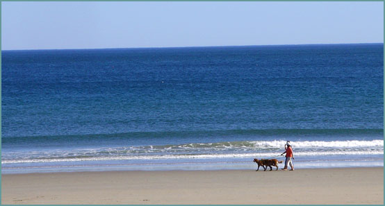 wells maine beach